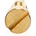 TP - img0.jpg
