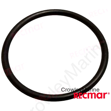 O-RING (REC302537)